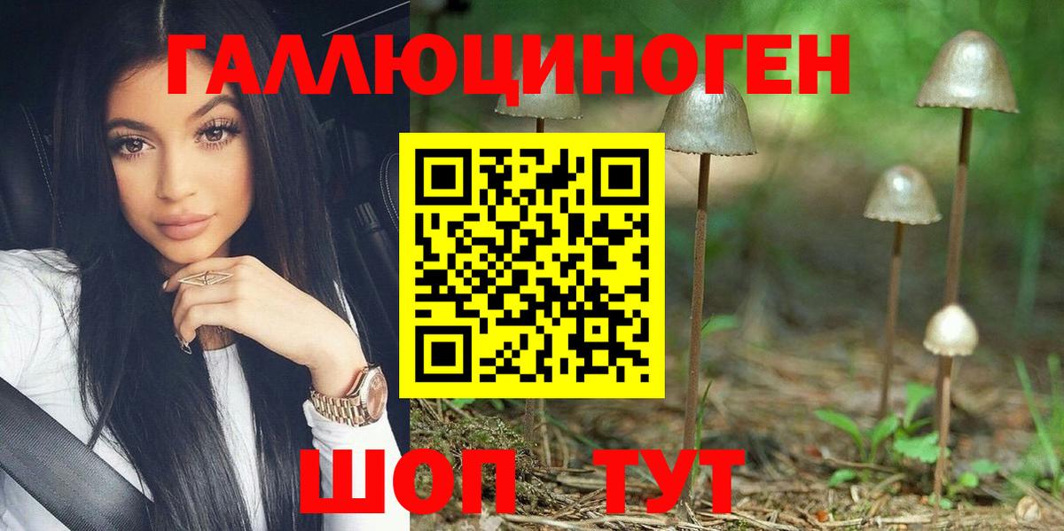 Новороссийск  Псилоцибиновые грибы GOLDEN TEACHER  Вход с VPN 