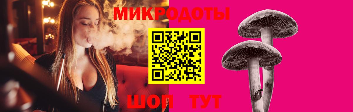 Псилоцибиновые грибы Psilocybine cubensis Новороссийск